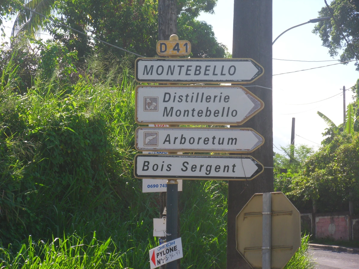 Route départementale française D41 (971) WikiSara Fandom