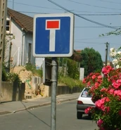 Modèle actuel en place à Goussainville (95). © GPS Nico