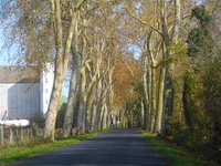 La D129 peu avant Aulnay
