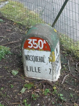 BorneN350A