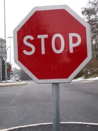 Modèle actuel en place. © GPS Nico