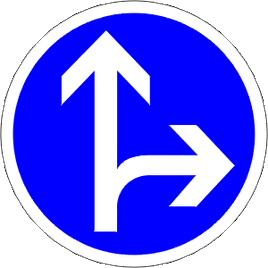 B21d1