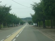 Entrée ouest de Bais par l'ex-N823 © Padawan53