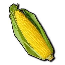 Corn | Rovive Wiki | Fandom