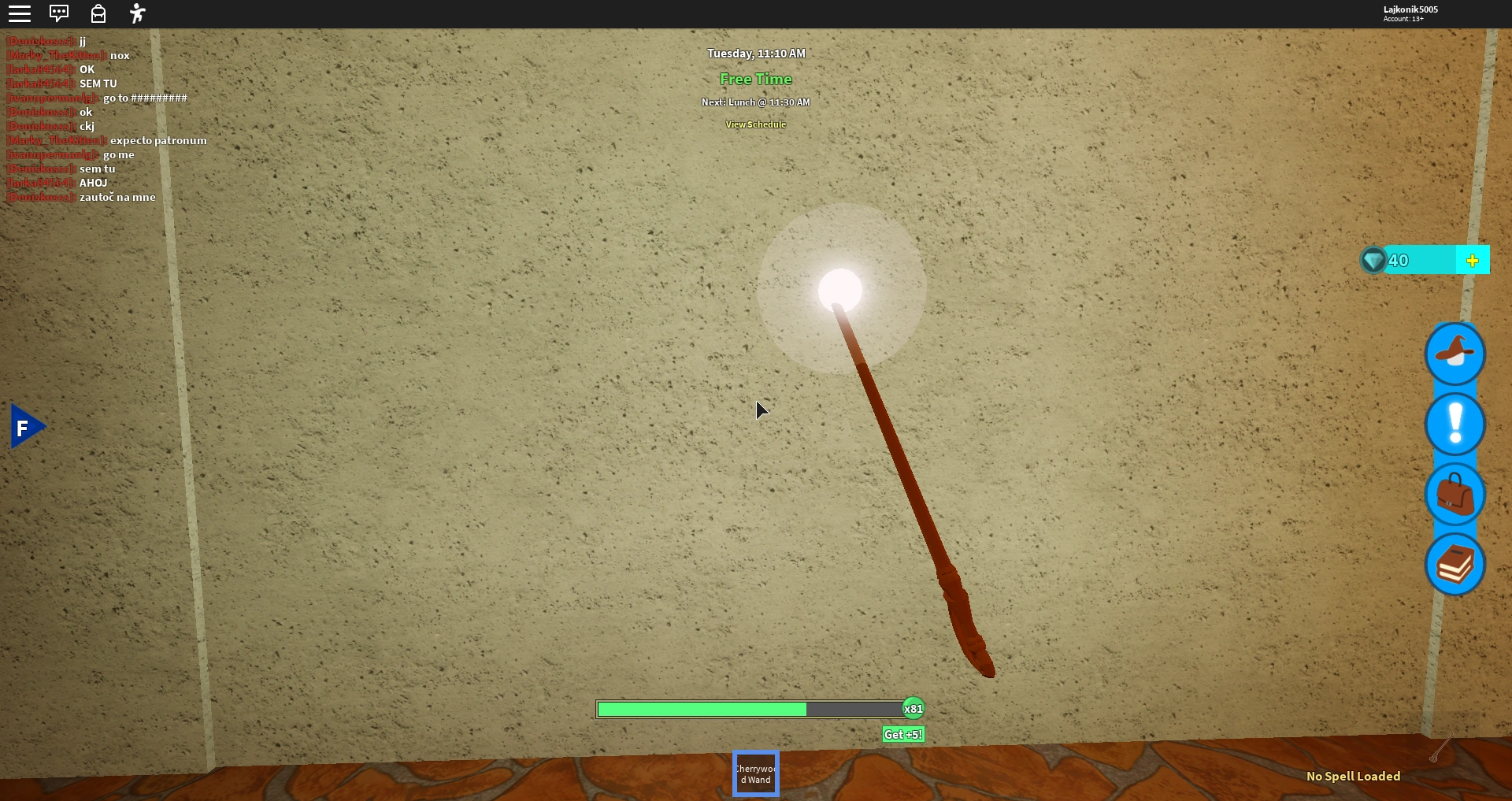 Homenum Revelio Bug Ro Wizard Wiki Fandom