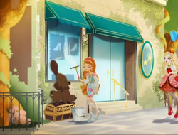The glass slipper shoe store outlet