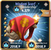 WisdomScarfPro