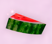A slice of watermelon.