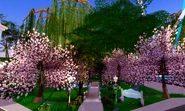 Divinia Park cutout