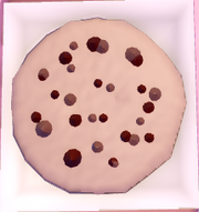 Warm Chocolate Chip Cookie