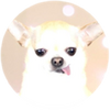72c7414ec8ded1599ad4c8896acf322d.png