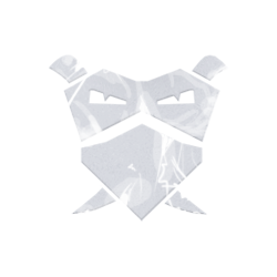 ChBg9invert.png