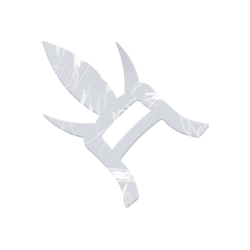 ChBg10invert.png