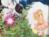 Die Romane der Rozen Maiden: Kalkgrün Augen