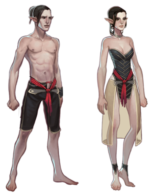 Elvesdragonage.png