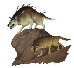 Dire wolf