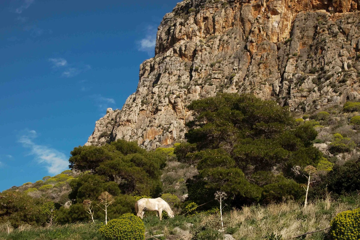 BOGG:Edgepoint | RPG | Fandom