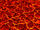 Coldren Fireborn
