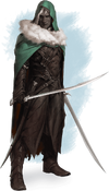 Drizzt