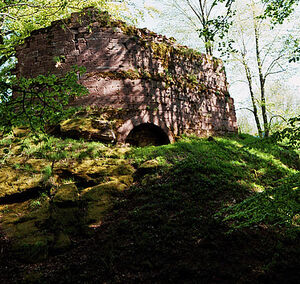 Ruine Salm - Turris Astralis