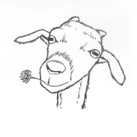 Totes by Laurent Duhamel