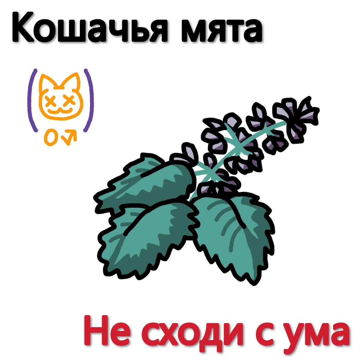 Кошачья мята | RPGWorld Вики | Fandom