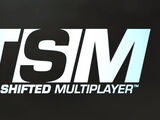 Time Shifted Multiplayer