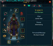 Yami V's typical gear for doing an edimmu task