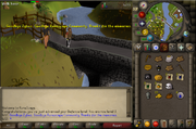 W13.png
