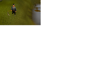 Rs3.png