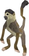 Karamjan monkey variant.