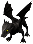 A baby black dragon.