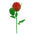 Single Rose
