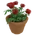 Rose Pot
