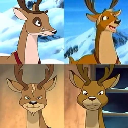 Dasher compared to his brothers.