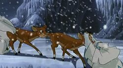 Stormella saved by Rudolph.