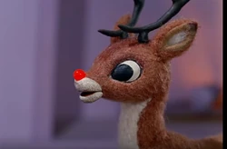 Rudolph's nose | Rudolph The Red Nosed Reindeer Wiki | Fandom