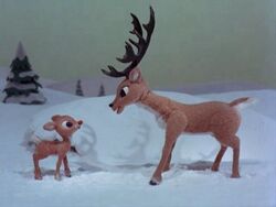 Donner teaching Rudolph