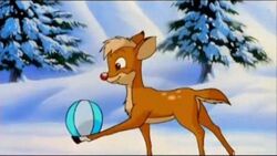 Rudolph playing with a ball