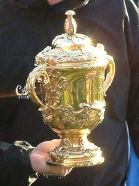 The Rugby World Cup