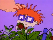 Rugrats - Circus Angelicus 340