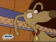 Rugrats - The Dog Broomer 171