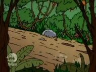 Rugrats - The Jungle 179