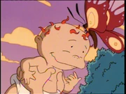 A butterfly lands on infant Chuckie.