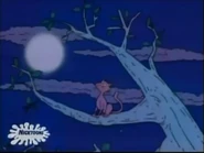 "....until one night...."