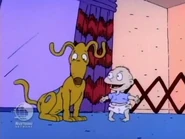 "No wonder you're so happy all the time!"