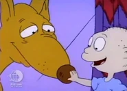 "I never noticed before!"