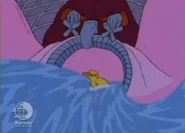 "It pulled him,"