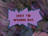 Spike the Wonder Dog