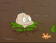 Rugrats - Planting Dil 66